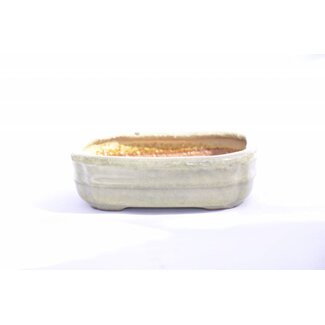 Hattori Tomoyuki Rectangular Hattori pot