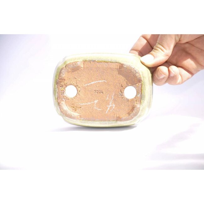 Rechteckiger Hattori Topf