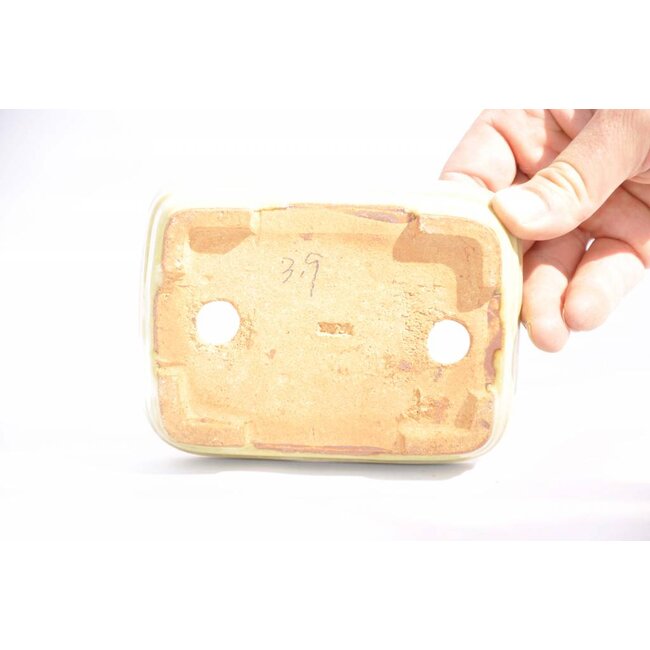 Rechteckiger Hattori Topf