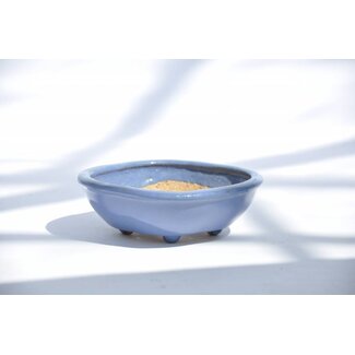 Hattori Tomoyuki Olla Mokko