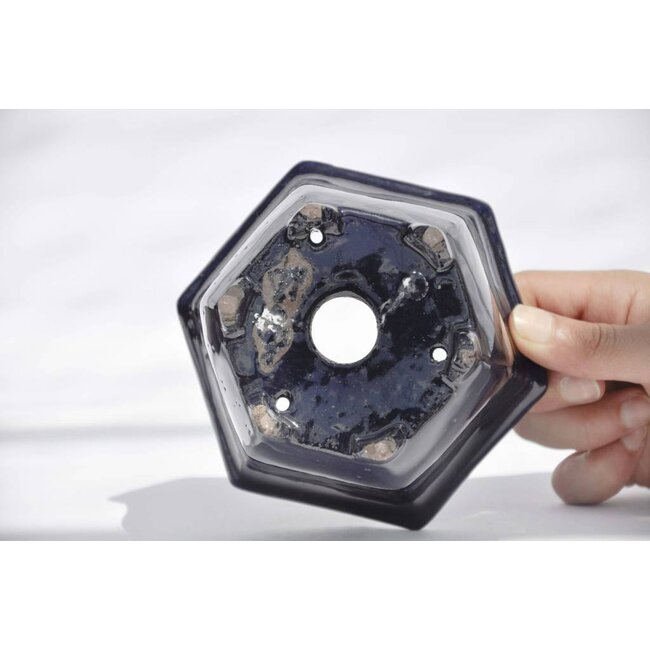 Pot rectangulaire, Shuhou Tokoname pot de bonsaï 13,6 cm