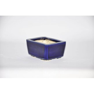 Bikou (Tokio) Rectangular pot, Bikou, Tokio 10 cm