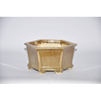 Bikou (Tokio) Rectangular pot, Bikou, Tokio 14,6 cm