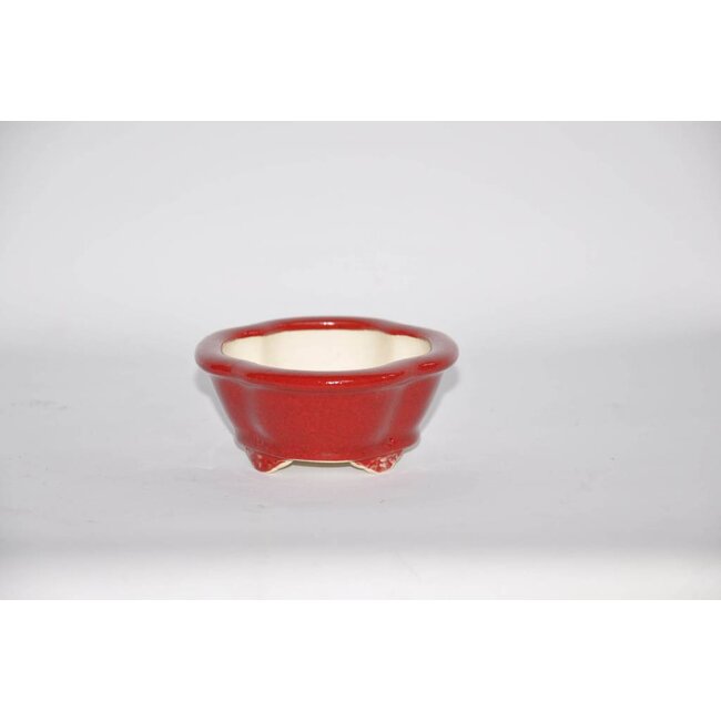 Ovalado 4,2 cm Youzan, Eime Tokoname