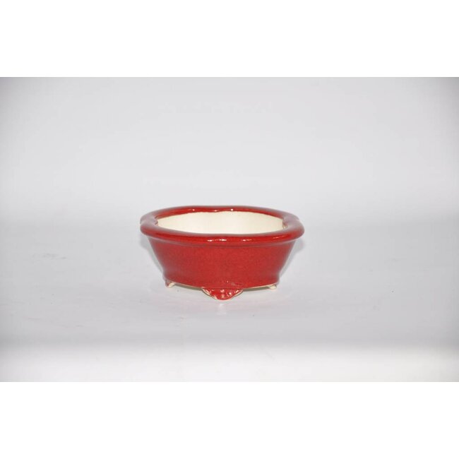 Ovaal 4,2 cm Youzan, Eime Tokoname