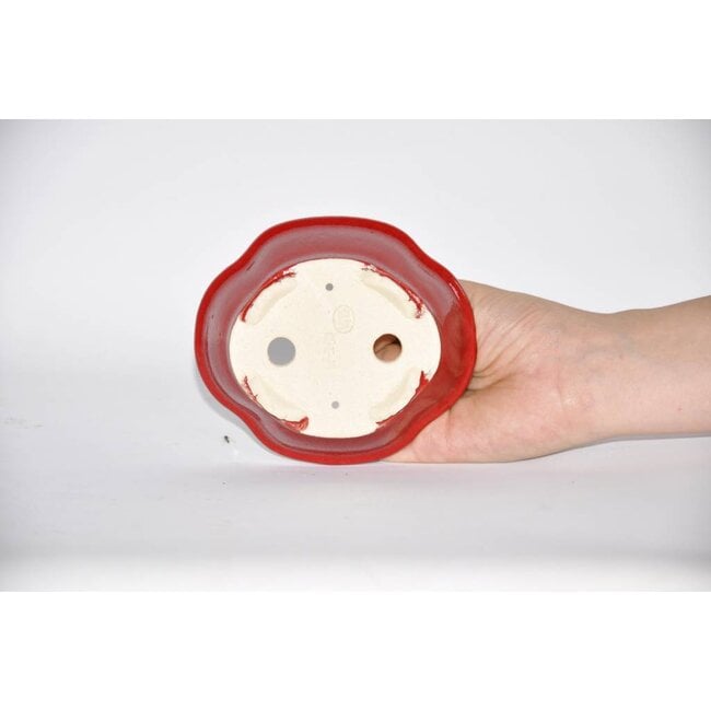 Ovale 4,2 cm Youzan, Eime Tokoname