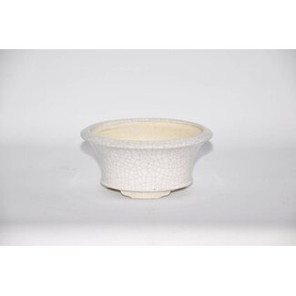 Eimei ( Yozan kiln) Round bonsai pot, 12,3 cm Yozan Tokoname  Eimei ( Yozan kiln) Round bonsai pot, 12,3 cm Yozan Tokoname