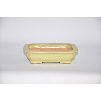  Hattori Tomoyuki Maceta rectangular, 14,6 cm Hattory Tokoname