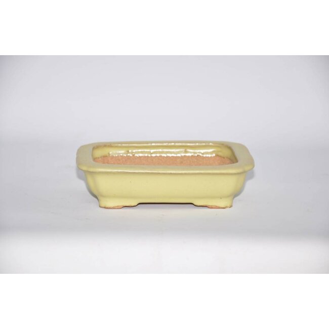 Rectangular pot, 14,6 cm Hattory Tokoname