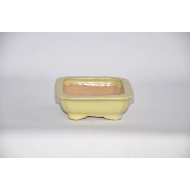 Rectangular pot, 14,6 cm Hattory Tokoname