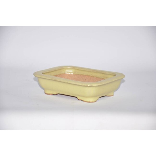 Vaso rettangolare, 14,6 cm Hattory Tokoname