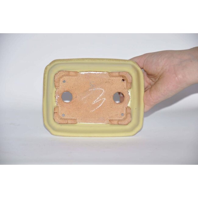 Maceta rectangular, 14,6 cm Hattory Tokoname