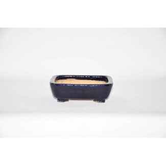  Hattori Tomoyuki Olla rectangular, 13,6 cm Hattory, Tokoname