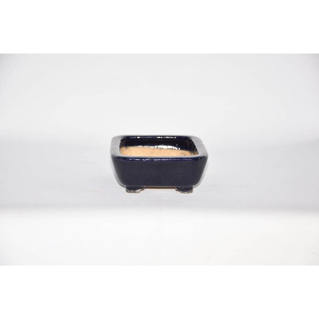 Rectangular pot, 13,6 cm Hattory, Tokoname