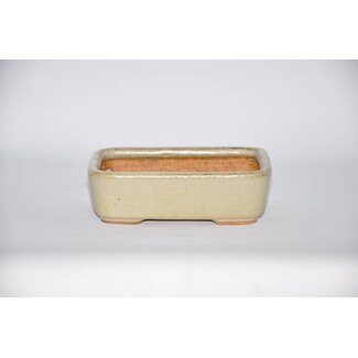 Hattori Tomoyuki Olla rectangular, 14,2 cm Hattory, Tokoname