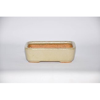  Hattori Tomoyuki Rectangular pot, 14,2 cm Hattory, Tokoname
