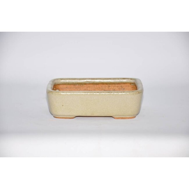Olla rectangular, 14,2 cm Hattory, Tokoname
