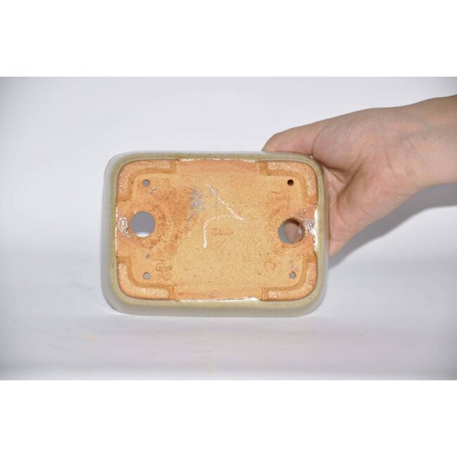 Rectangular pot, 14,2 cm Hattory, Tokoname