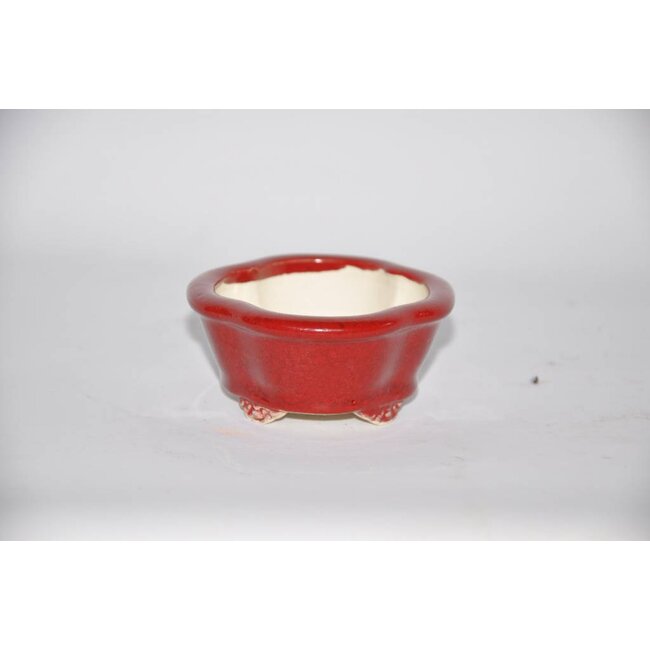 Ovalada 8,8 cm Youzan, Eime Tokoname