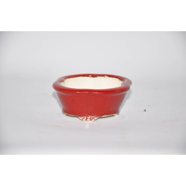 Ovaal 8,8 cm Youzan, Eime Tokoname