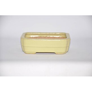  Hattori Tomoyuki Rectangular pot, 15 cm Hattory, Tokoname