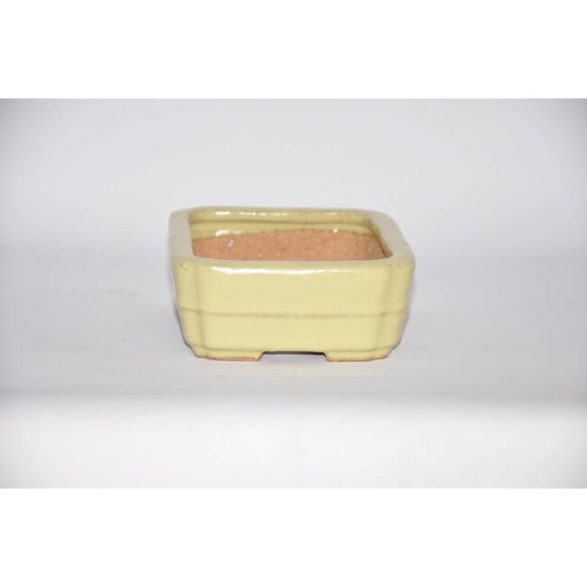 POT rettangolare, 15 cm Hattory, Tokoname