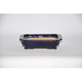 Hattori Tomoyuki Rectangular pot, 3,7 cm Hattory, Tokoname