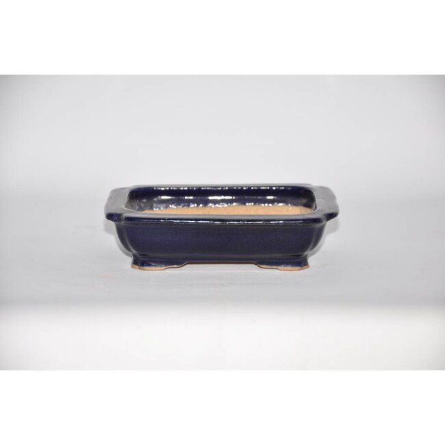 Rectangular pot, 3,7 cm Hattory, Tokoname