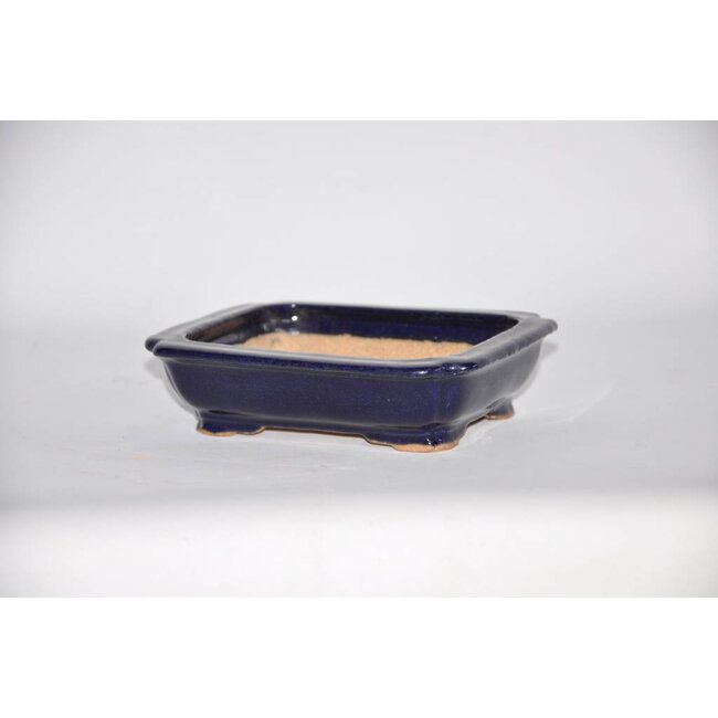Olla rectangular, 3,7 cm Hattory, Tokoname
