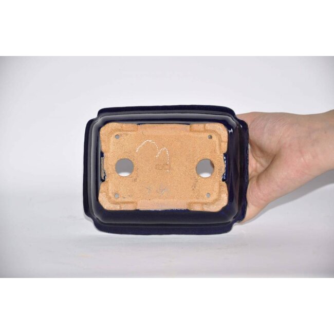 Olla rectangular, 3,7 cm Hattory, Tokoname