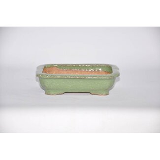  Hattori Tomoyuki Olla rectangular, 3,8 cm, Hattory Tokoname