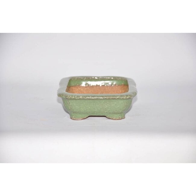 Olla rectangular, 3,8 cm, Hattory Tokoname