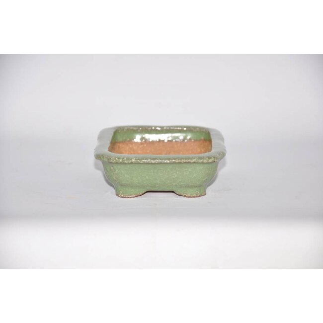 Rectangular pot, 3,8 cm, Hattory Tokoname