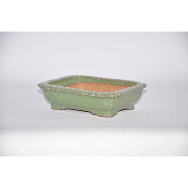 Rectangular pot, 3,8 cm, Hattory Tokoname
