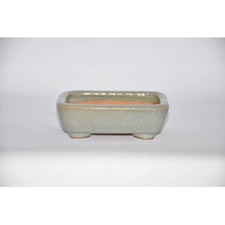  Hattori Tomoyuki Maceta rectangular, maceta Hattory 4,3 cm