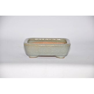  Hattori Tomoyuki Vaso rettangolare, Vaso Hattory 4,3 cm