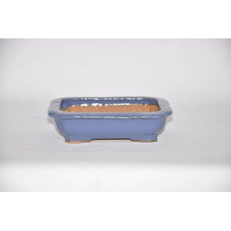  Hattori Tomoyuki Rectangular pot 14,6 cm Hattory, Tokoname