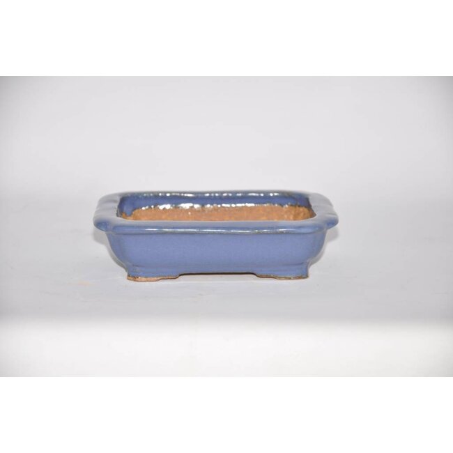 Maceta rectangular 14,6 cm Hattory, Tokoname