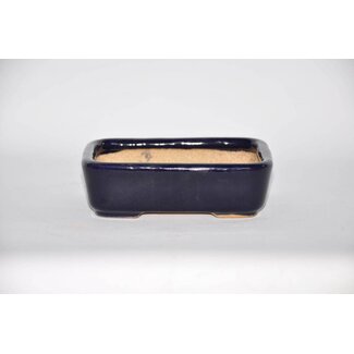 Hattori Tomoyuki Bote de bonsai rectangular 14,4 cm, Hattory Tokoname