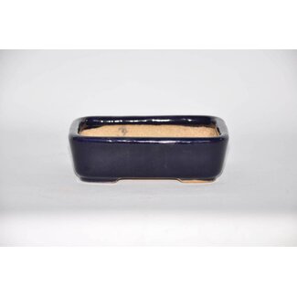  Hattori Tomoyuki Rectangular bonsai pot 14,4 cm, Hattory Tokoname