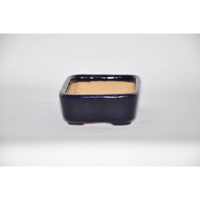 Vaso rettangolare bonsai da 14,4 cm, Hattory Tokoname