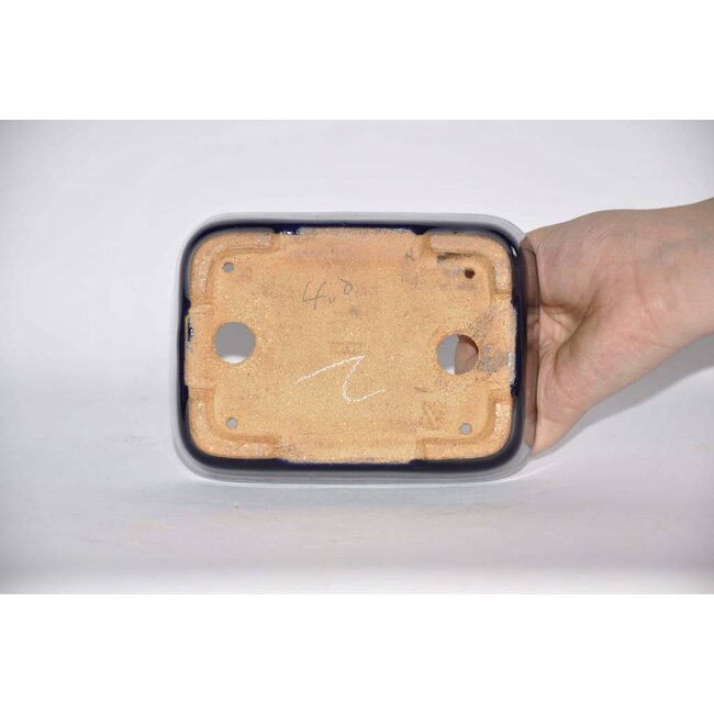 Rectangular bonsai pot 14,4 cm, Hattory Tokoname