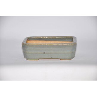 Hattori Tomoyuki Rectangular pot