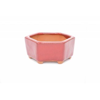  Eimei ( Yozan kiln) Maceta hexagonal