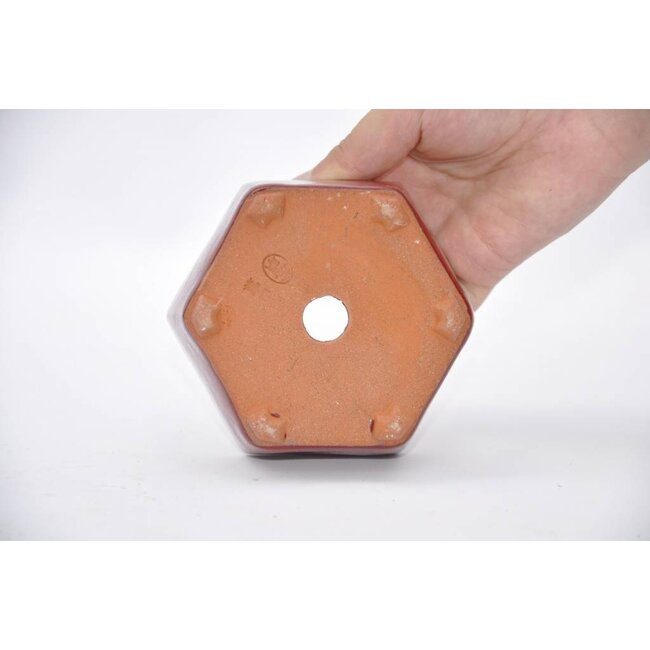 Pot hexagonal