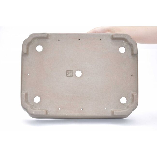 Maceta rectangular, Yuji, Gyouzan 43,2 cm x 31,9 cm
