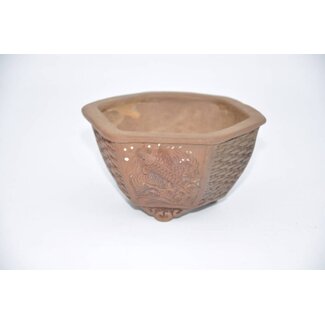 Tani Ranzan Hexagonal Ranzan pot