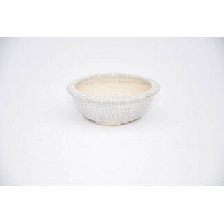  Eimei ( Yozan kiln) Runde Yozan 2,8 cm x 7,6 cm Bonsai Topf.