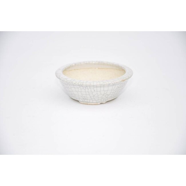 Round Yozan 2,8 cm x 7,6 cm bonsai pot.