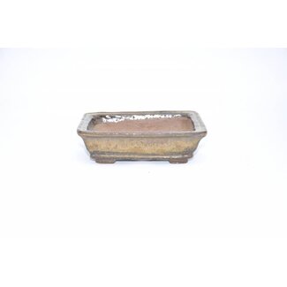 Shuuhou (Hidemi Kataoka) Rectangular pot